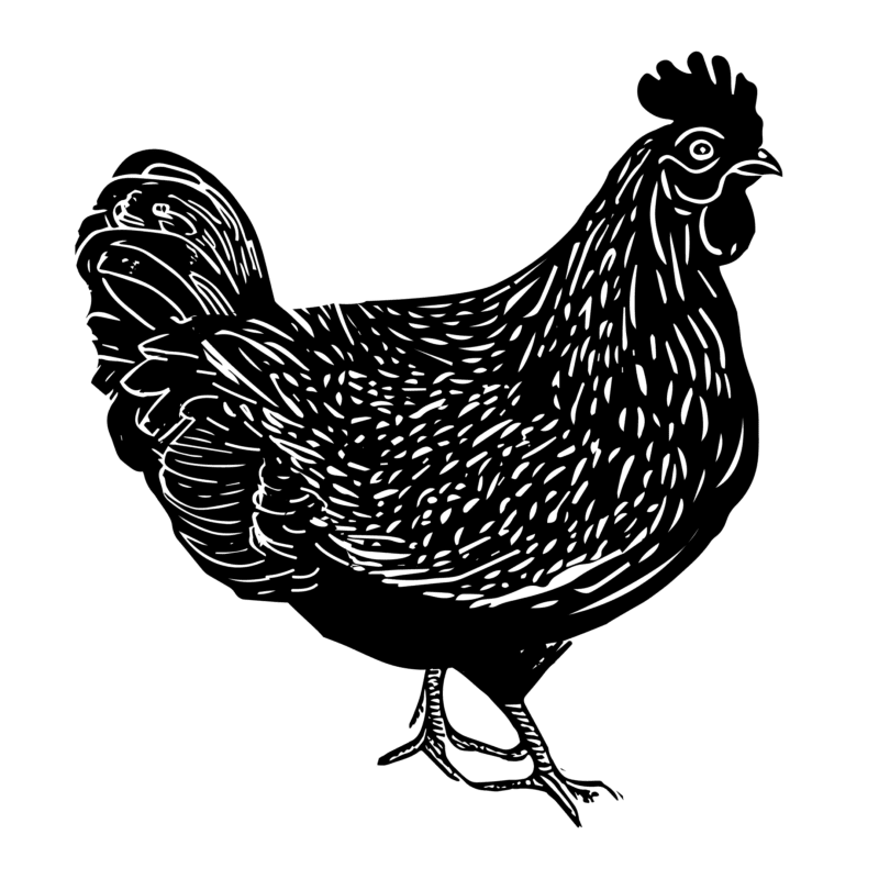 Chicken season at Nest
