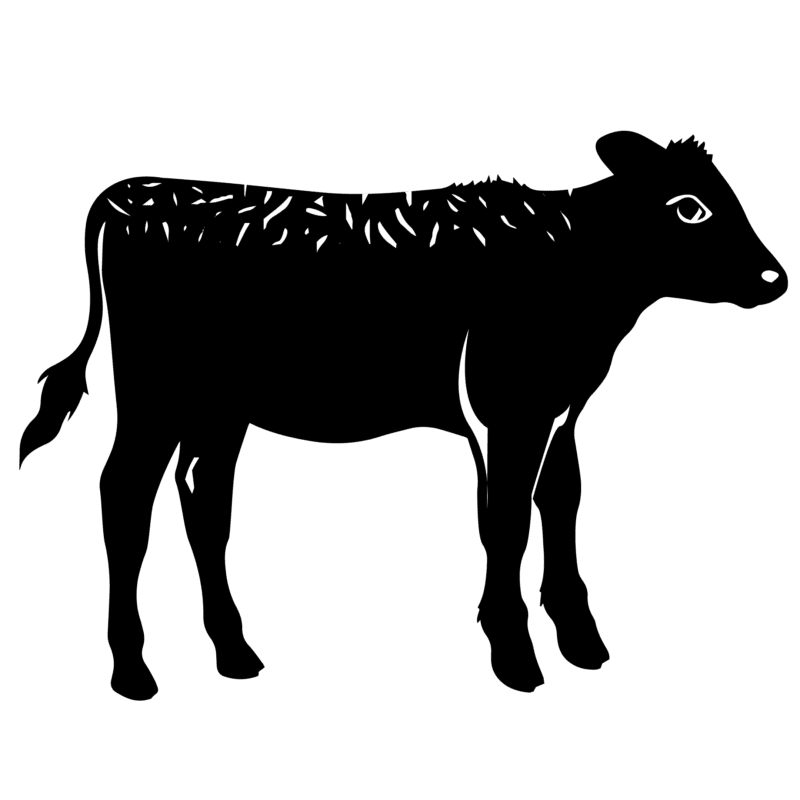 Beef Logo