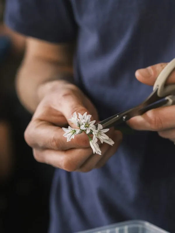 Wild Garlic chef prepping
